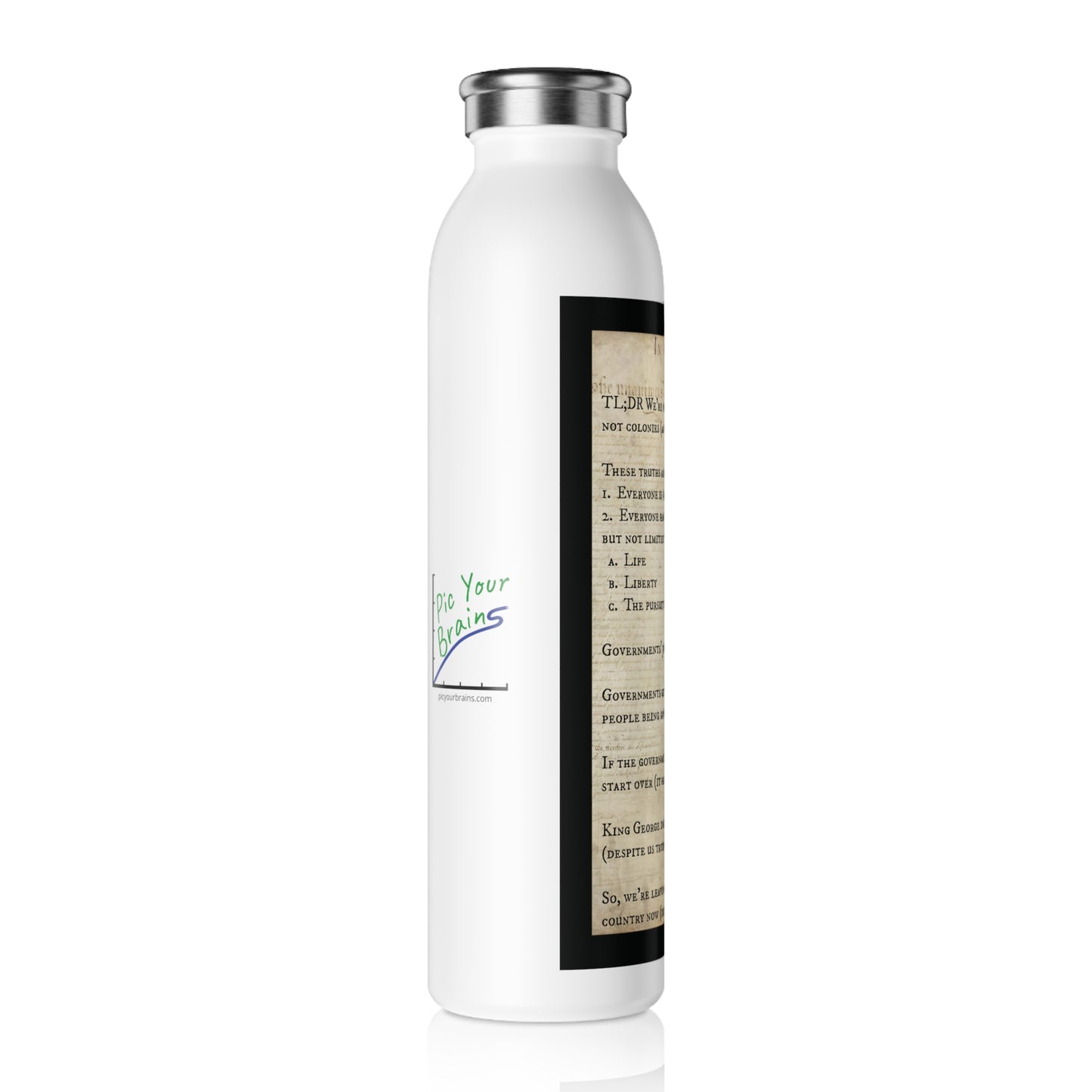 Declaration of Independence Summary Stainless Steel Water Bottle