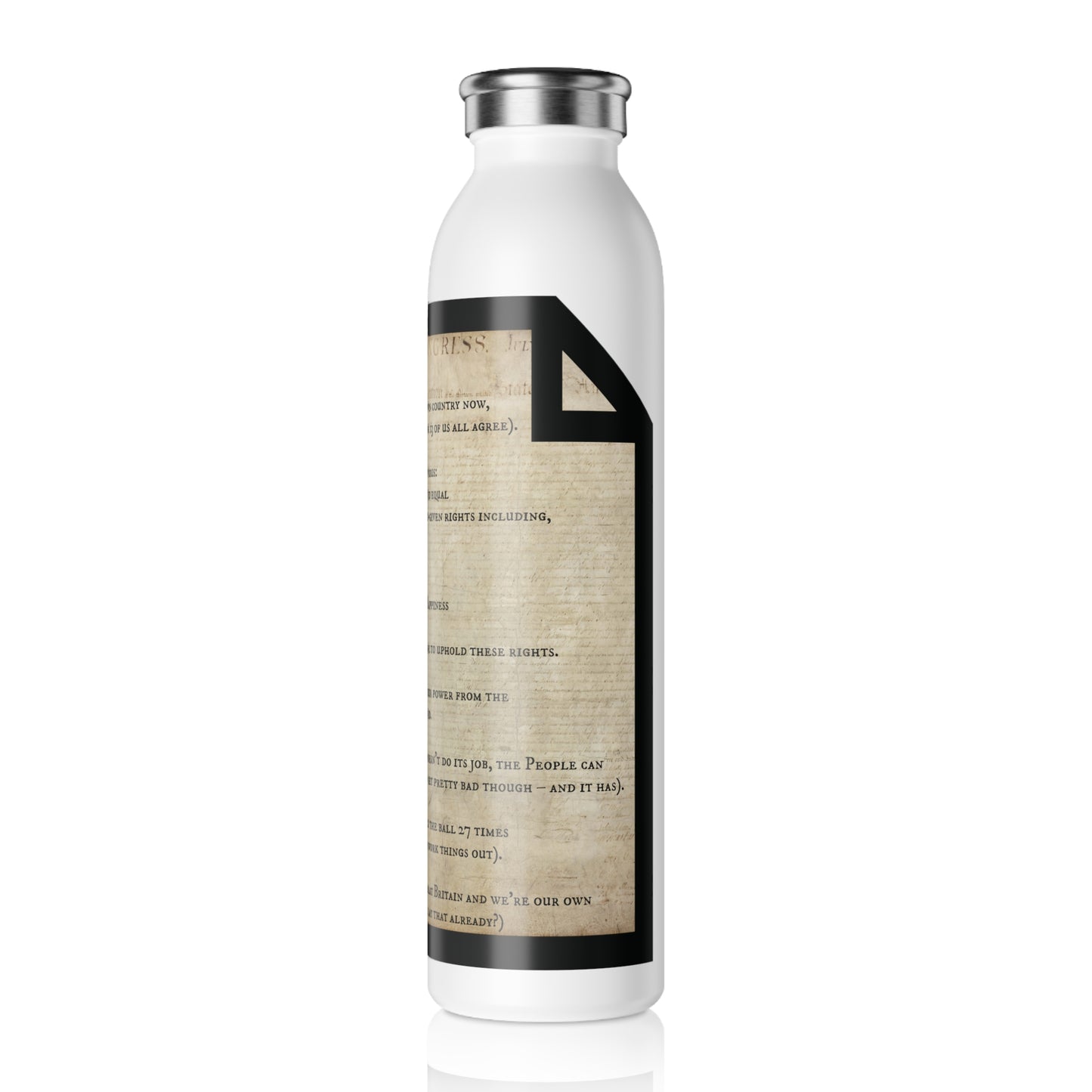 Declaration of Independence Summary Stainless Steel Water Bottle
