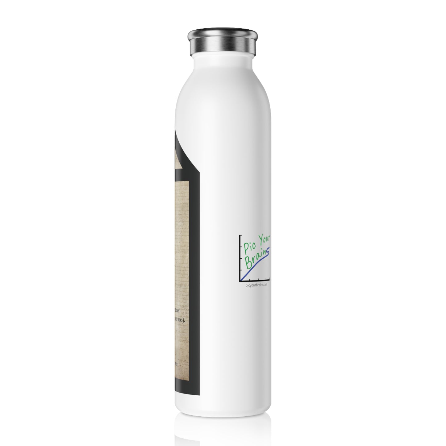 Declaration of Independence Summary Stainless Steel Water Bottle