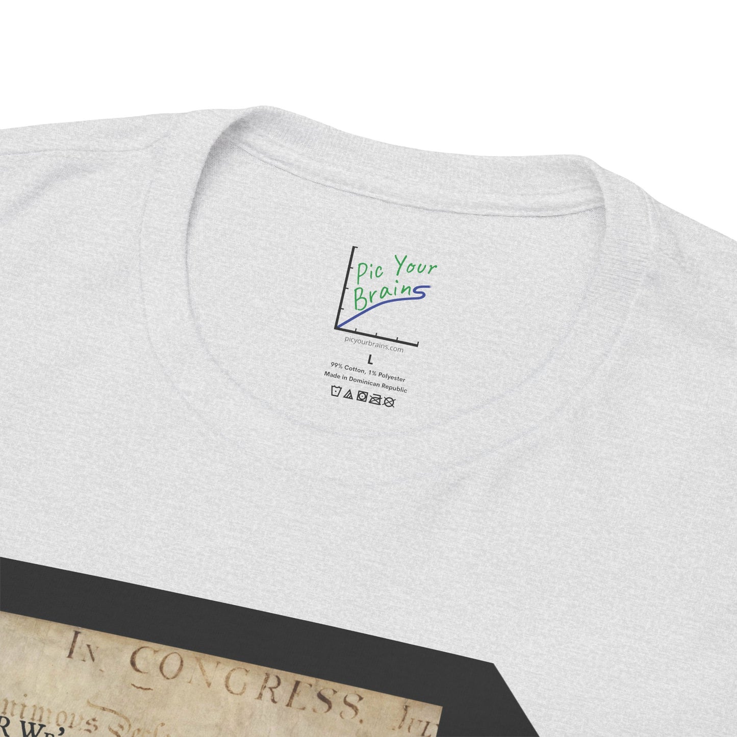 Declaration of Independence Summary Tee