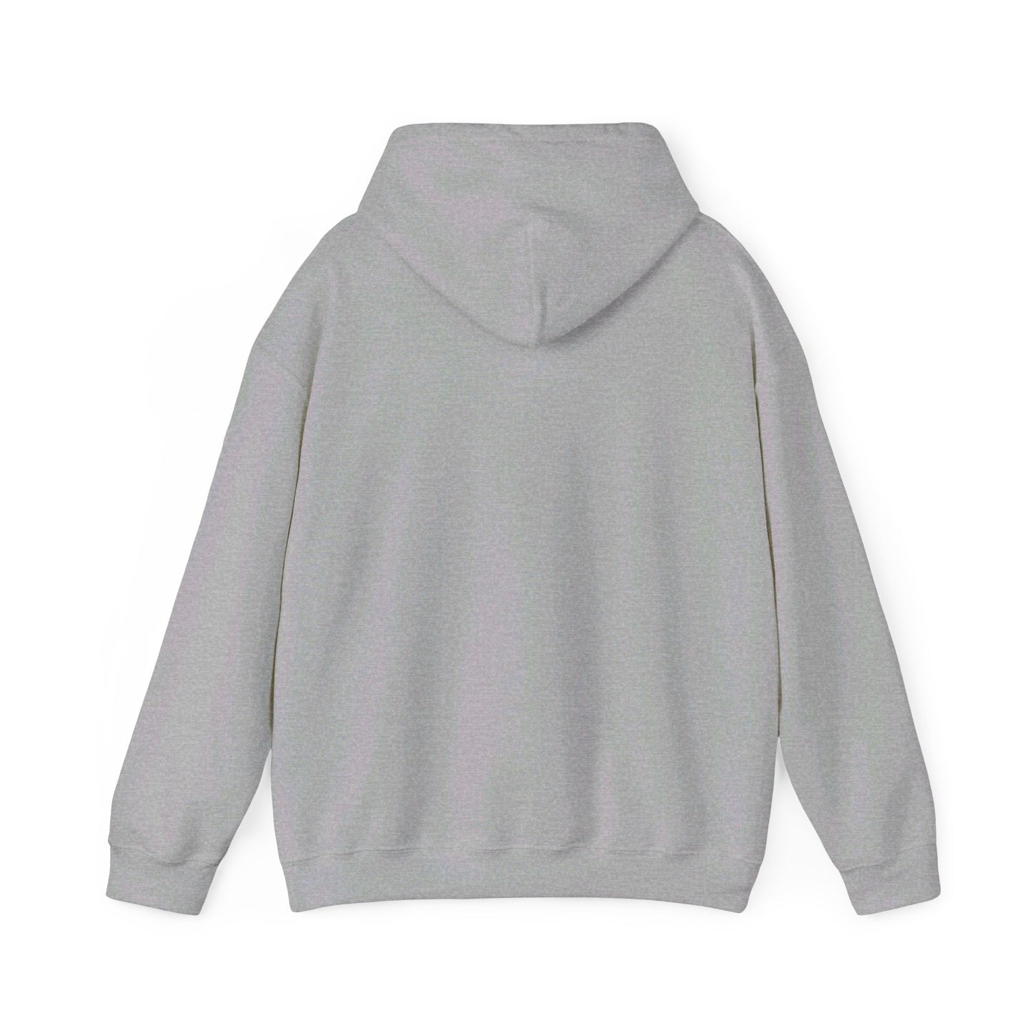 Education Settings Hooded Sweatshirt