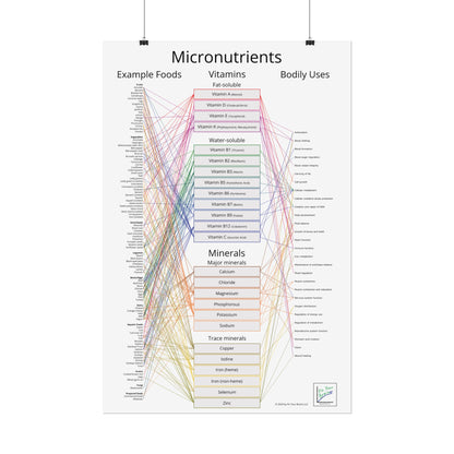 Micronutrients Poster