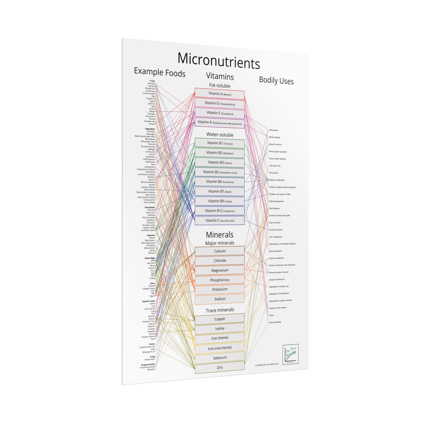 Micronutrients Poster