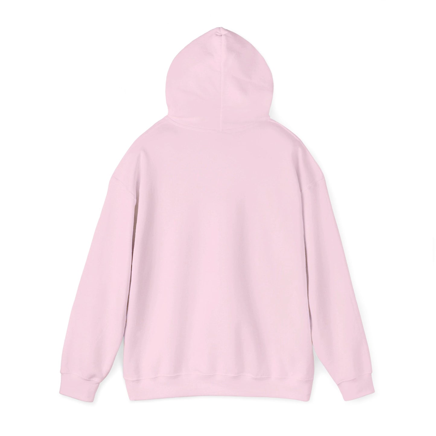 Education Settings Hooded Sweatshirt