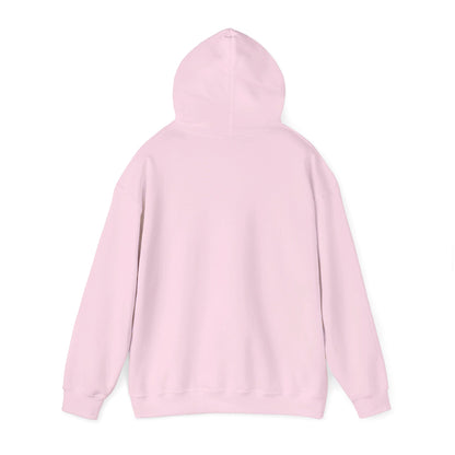 Education Settings Hooded Sweatshirt