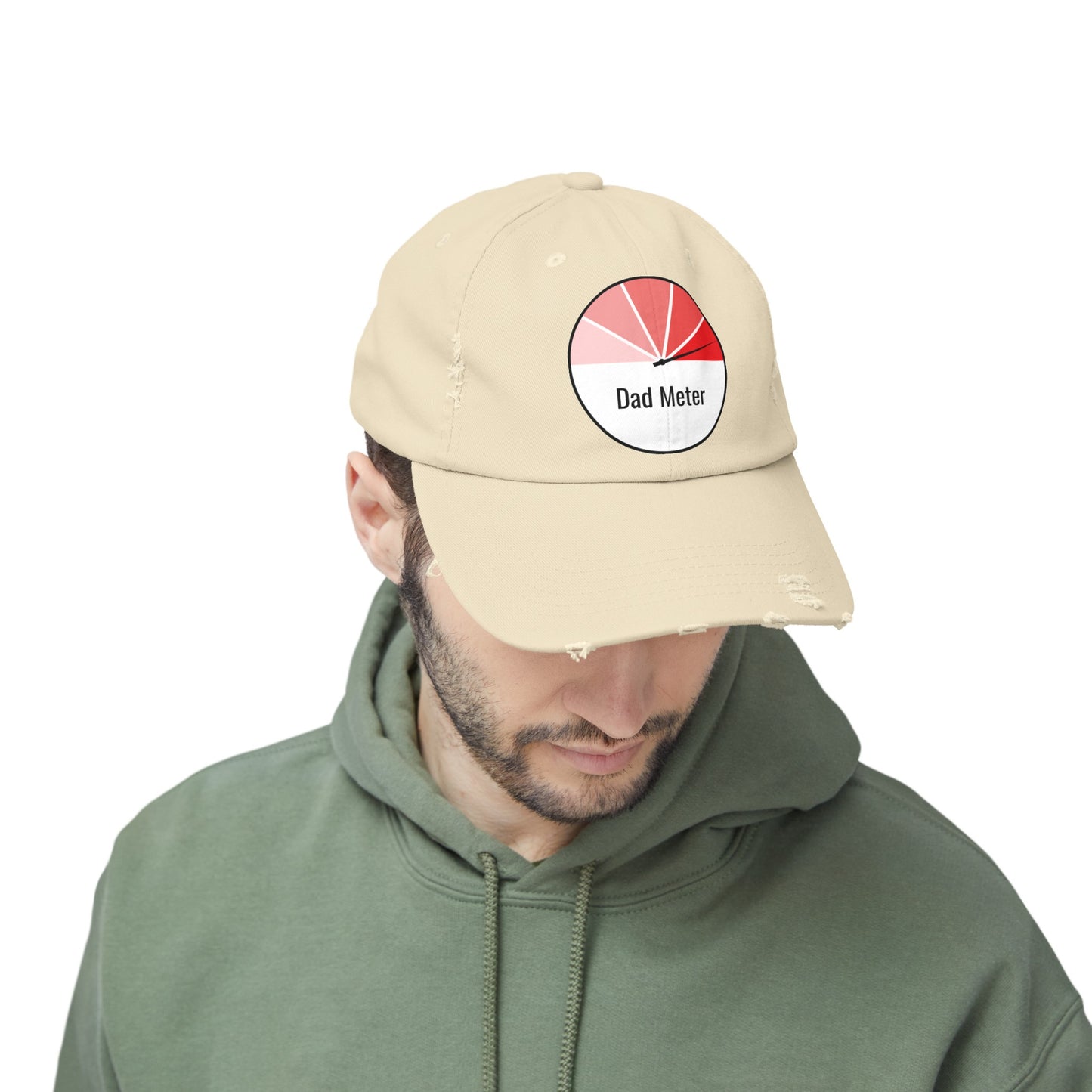 Dad Meter Distressed Cap