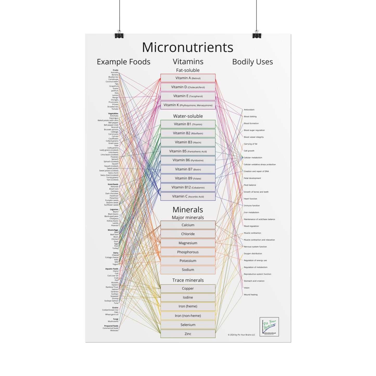 Micronutrients Poster