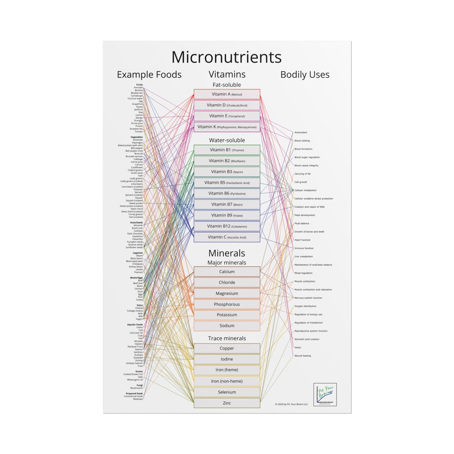 Micronutrients Poster