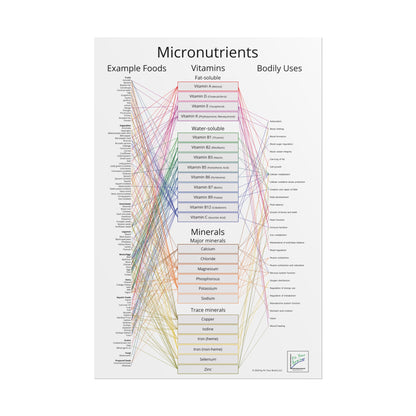 Micronutrients Poster