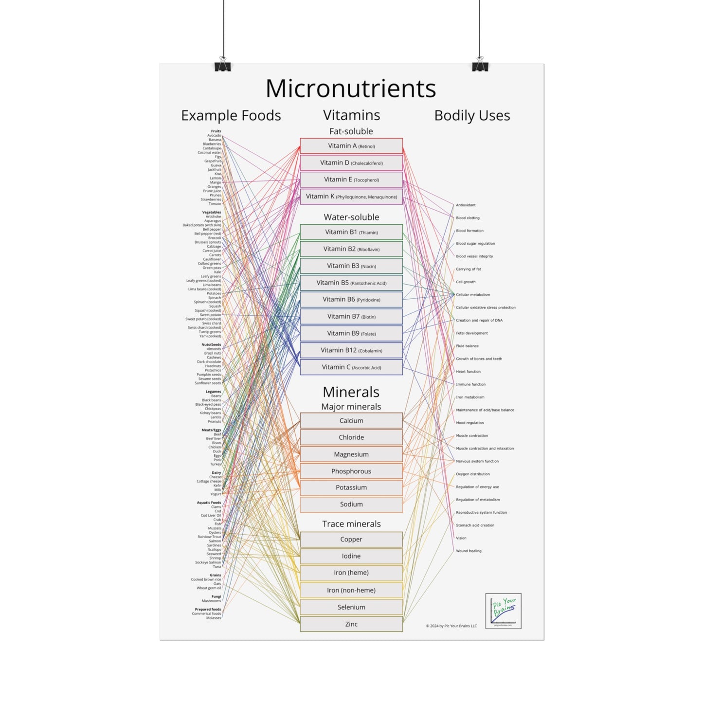 Micronutrients Poster