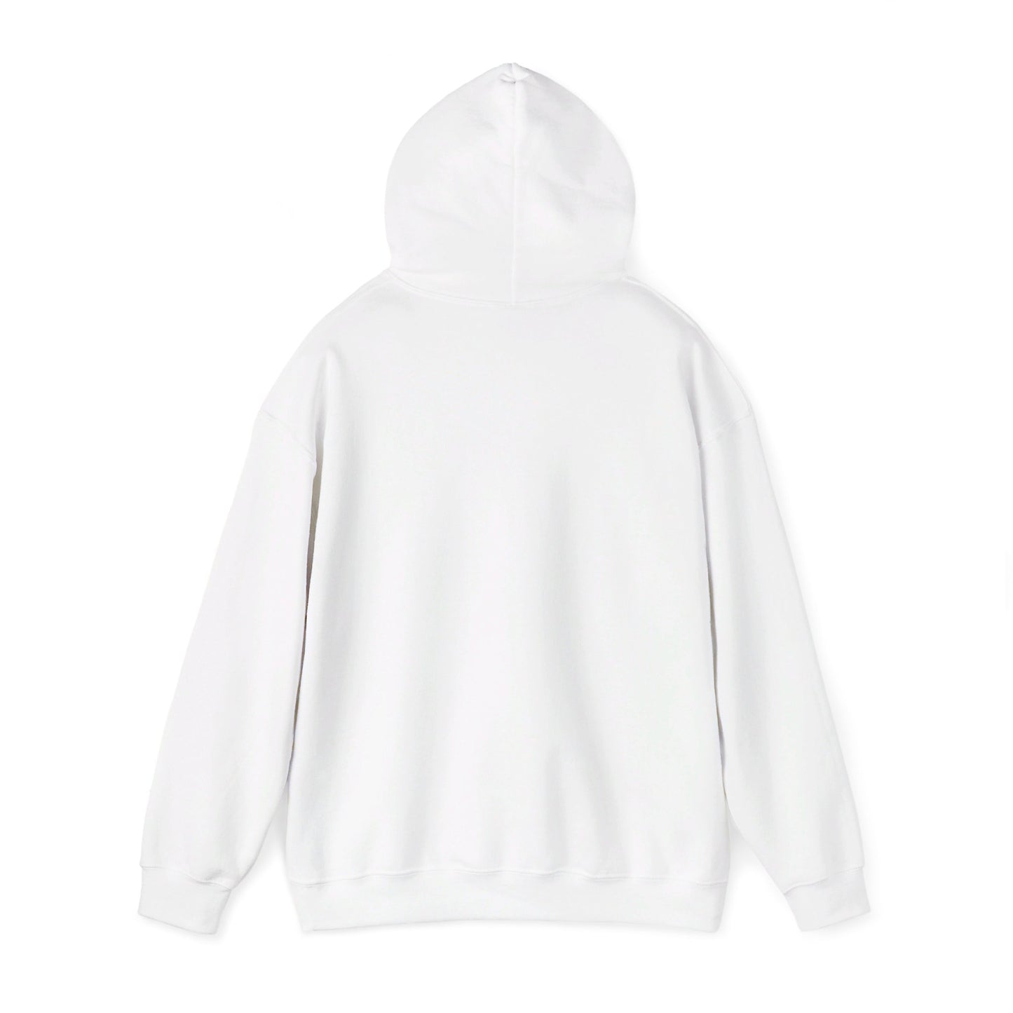 Education Settings Hooded Sweatshirt