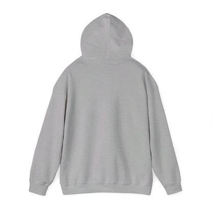 Education Settings Hooded Sweatshirt