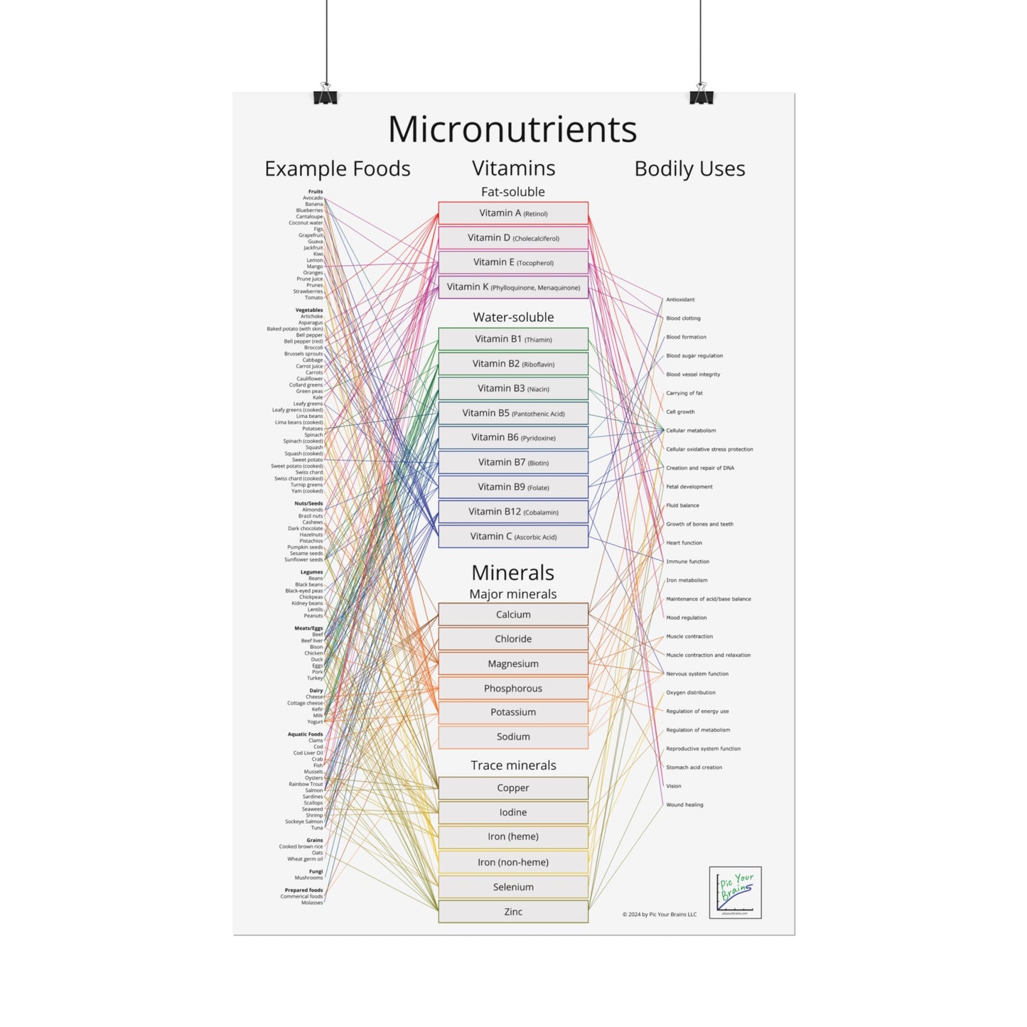 Micronutrients Poster