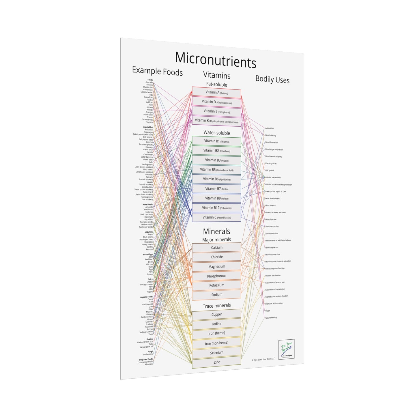 Micronutrients Poster