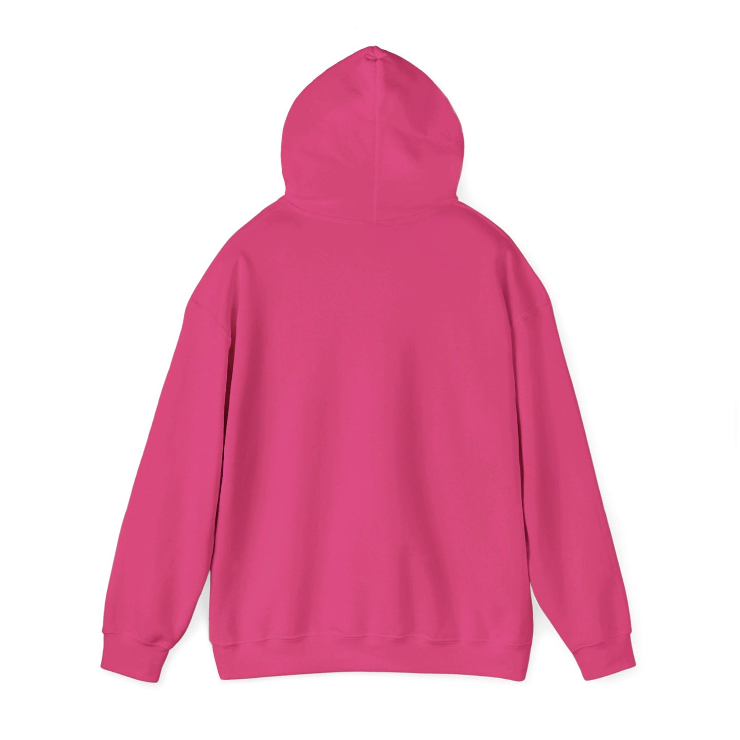 Education Settings Hooded Sweatshirt