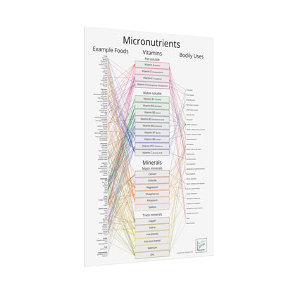 Micronutrients Poster