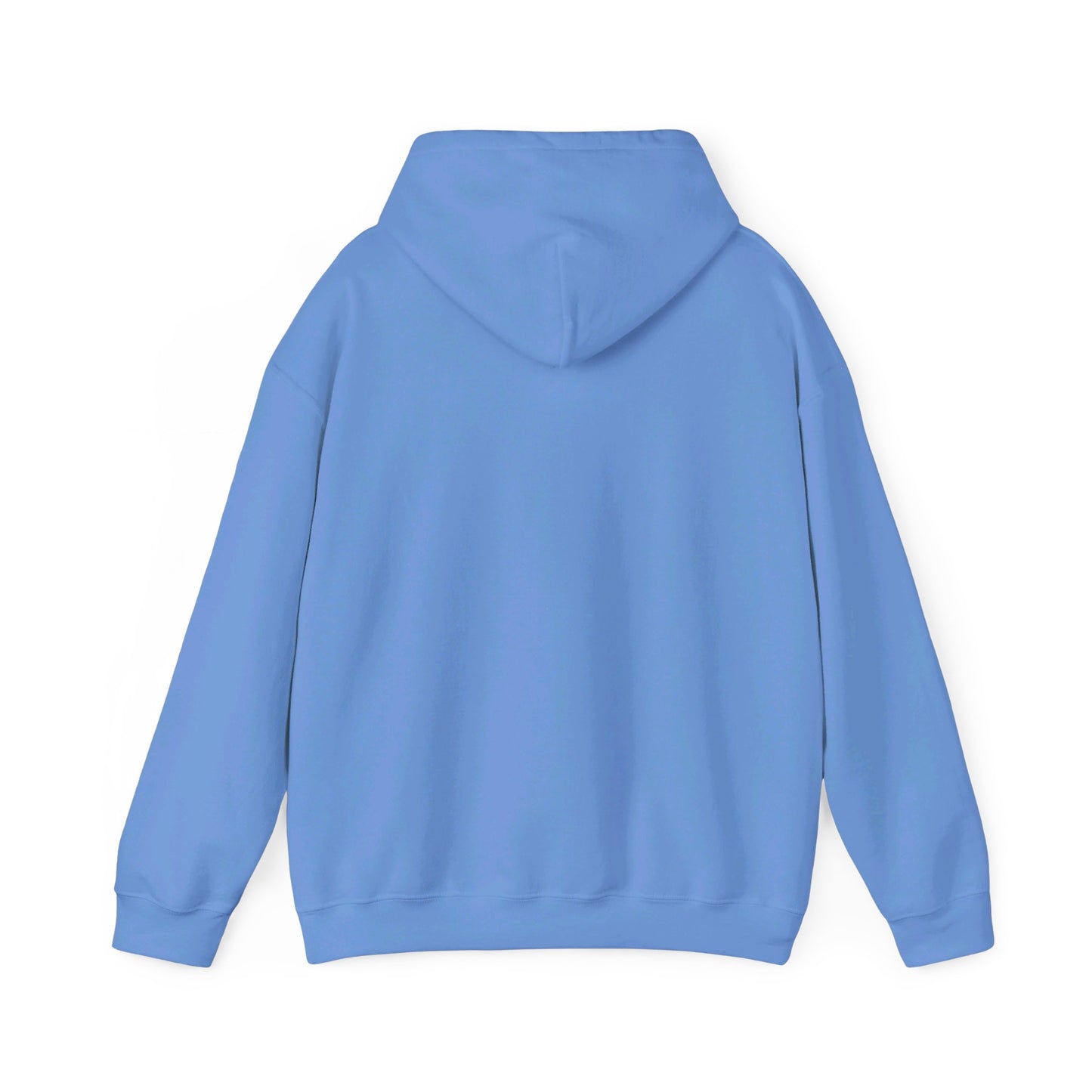 Education Settings Hooded Sweatshirt