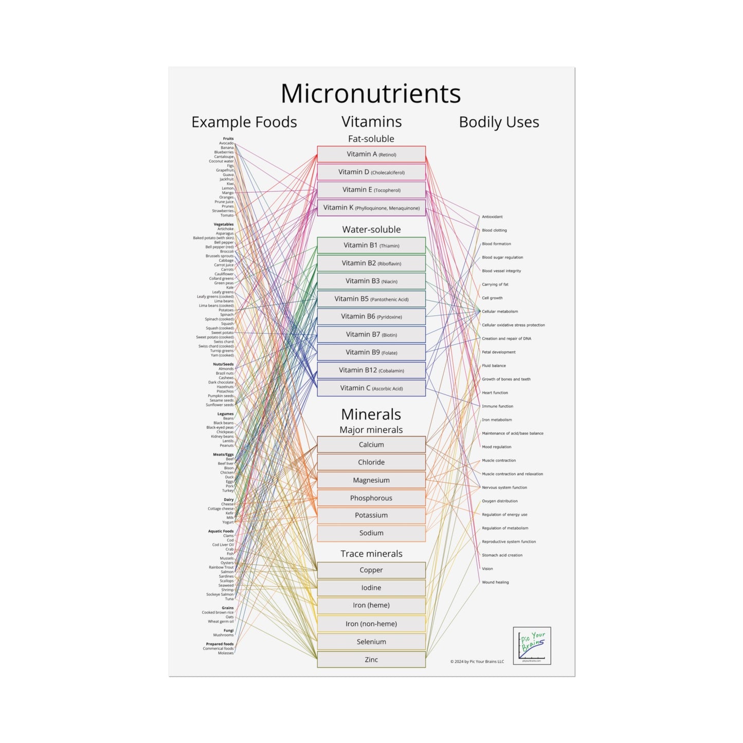 Micronutrients Poster