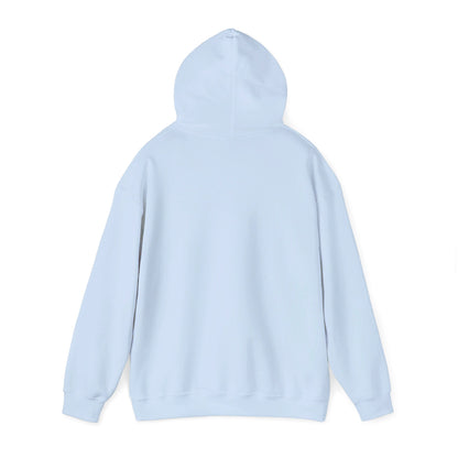 Education Settings Hooded Sweatshirt