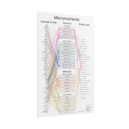 Micronutrients Poster